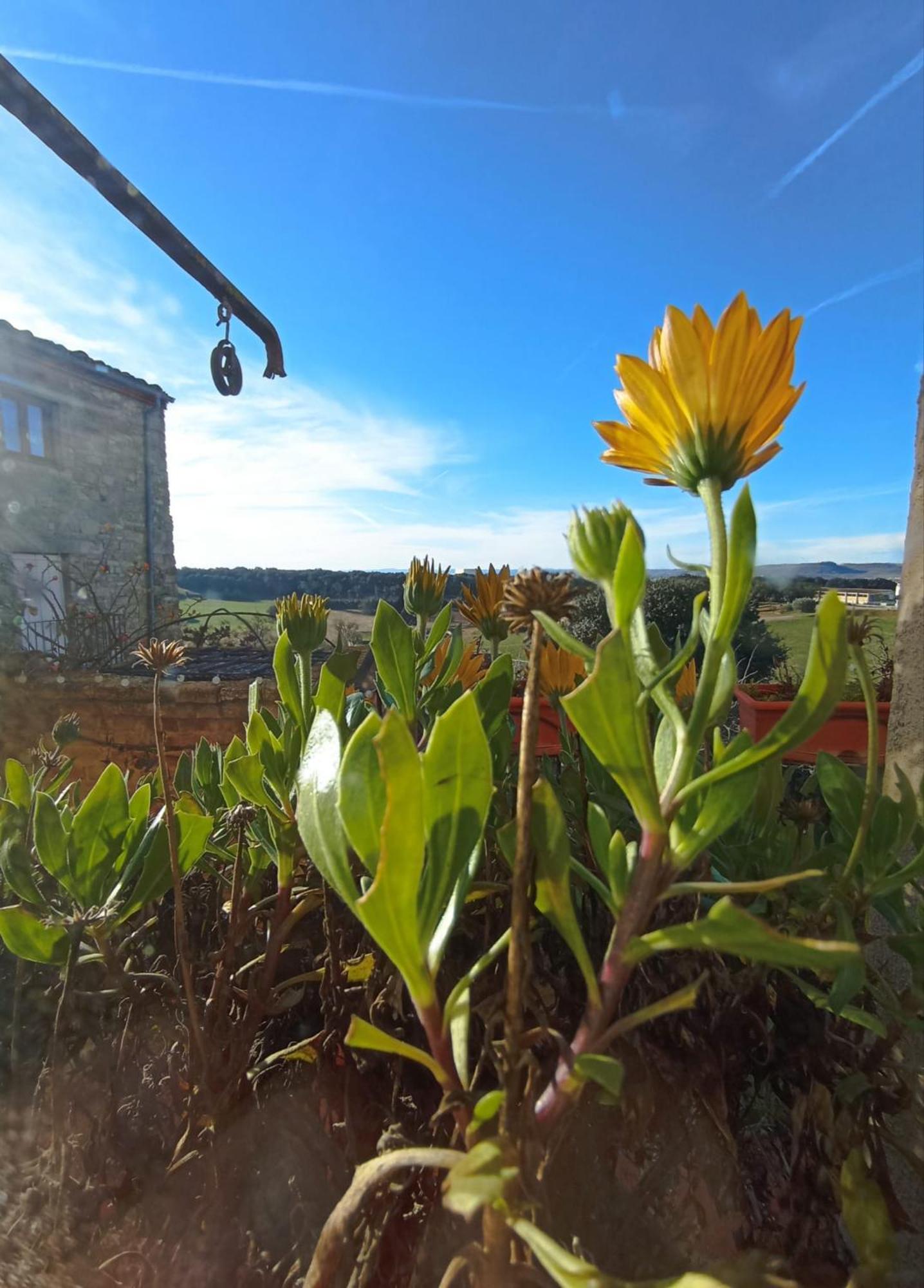 Hostal Casa Pardal Coliving & Coworking Sant Pere Sallavinera Exterior foto