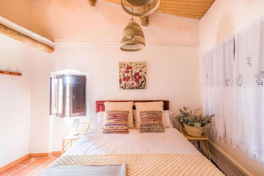 Hostal Casa Pardal Coliving & Coworking Sant Pere Sallavinera Exterior foto